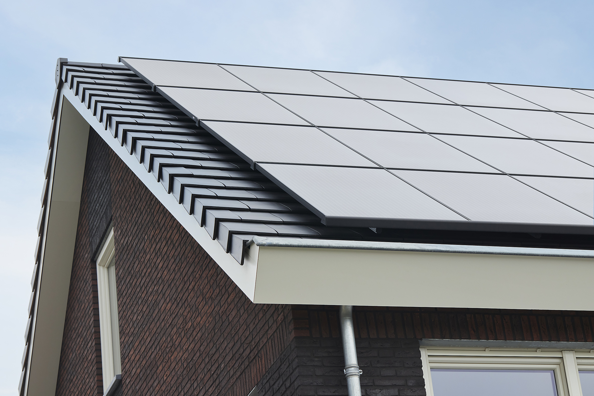 Aelex inleg-monagesysteem voor pannendak